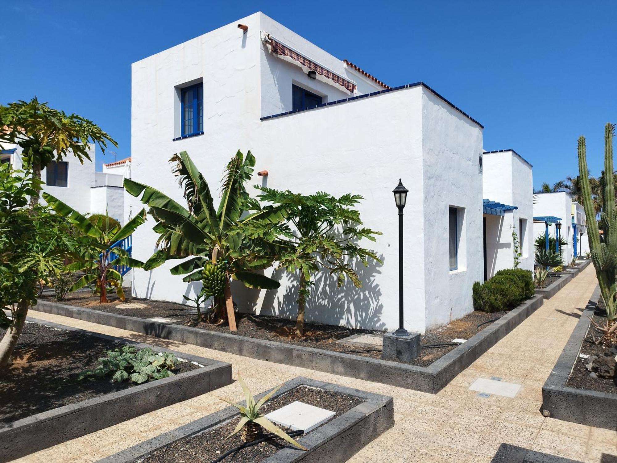 Casa Freesia